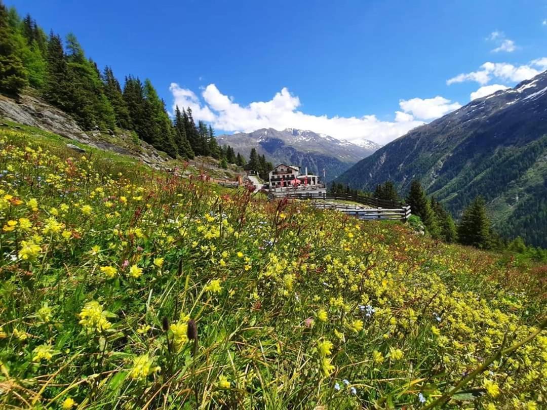 Готель Alpengasthof Gaislach Alm Зельден Екстер'єр фото